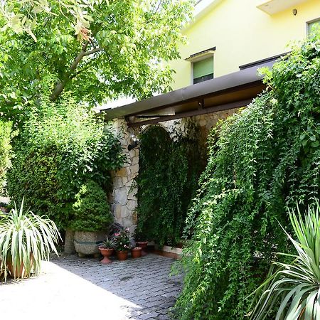 Agriturismo Valle Verde 알타무라 외부 사진