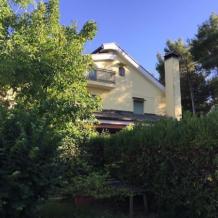 Agriturismo Valle Verde 알타무라 외부 사진