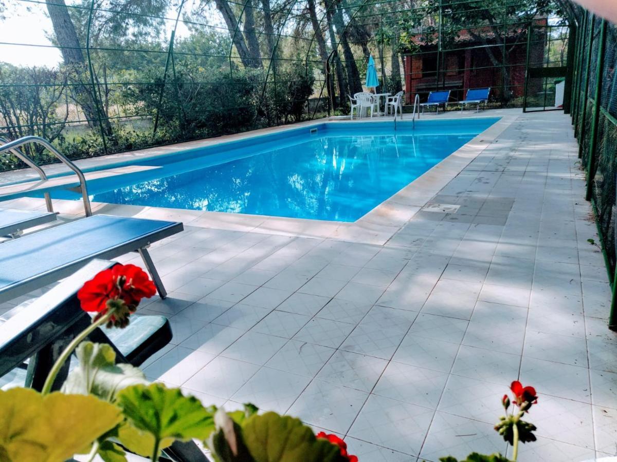 Agriturismo Valle Verde 알타무라 외부 사진