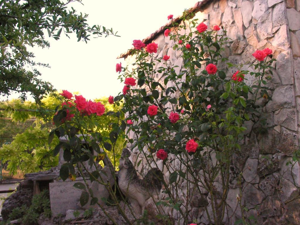 Agriturismo Valle Verde 알타무라 외부 사진
