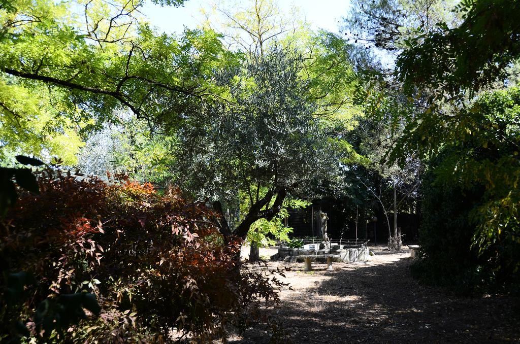 Agriturismo Valle Verde 알타무라 외부 사진