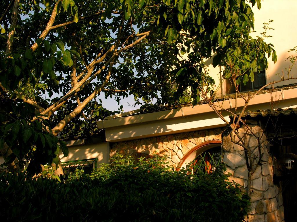 Agriturismo Valle Verde 알타무라 외부 사진