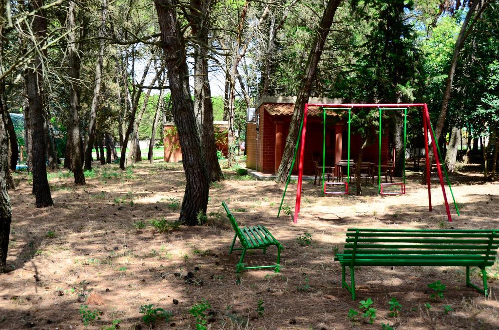 Agriturismo Valle Verde 알타무라 외부 사진