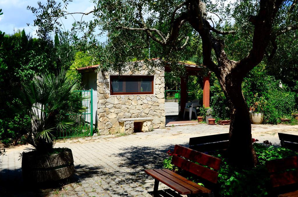 Agriturismo Valle Verde 알타무라 외부 사진