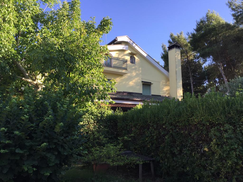 Agriturismo Valle Verde 알타무라 외부 사진