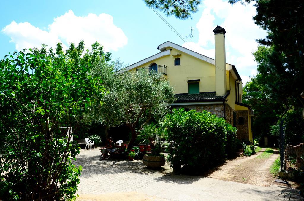 Agriturismo Valle Verde 알타무라 외부 사진