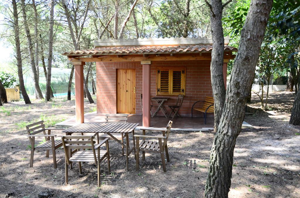 Agriturismo Valle Verde 알타무라 외부 사진